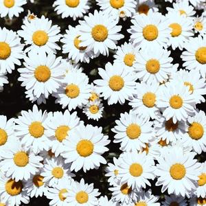 老太伦X❌0㐅0HD
